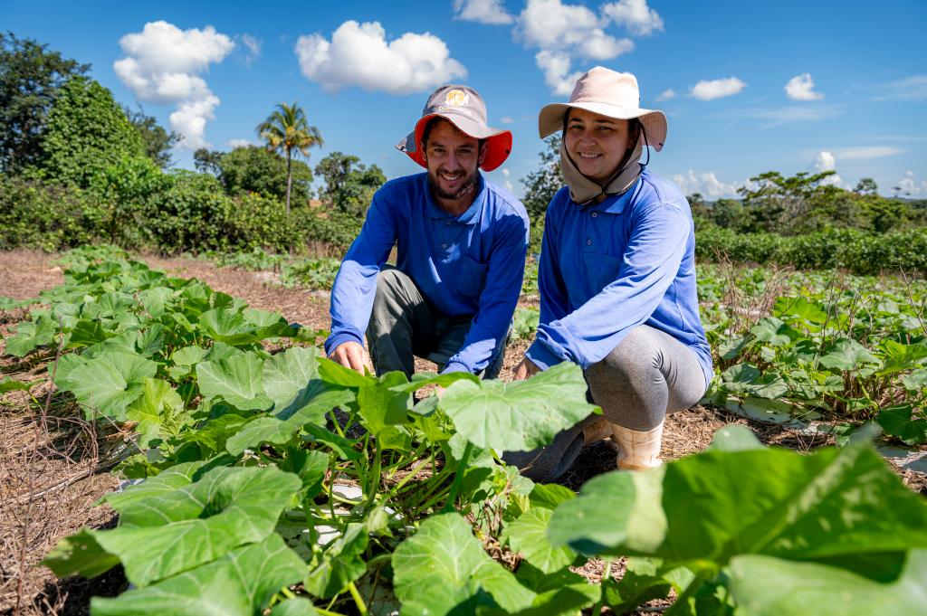 Produção no Campo